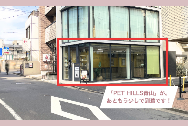 STスキンクリニック青山アクセスガイド